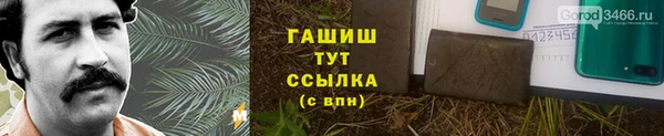 мяу мяу мука Арсеньев