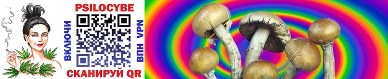 купить  цена  Рыбное  Псилоцибиновые грибы MAGIC MUSHROOMS 